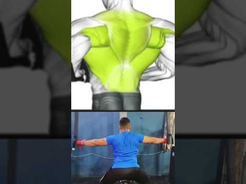 Ultimate Back Workout Techniques: Science-Based Tips for Better Results