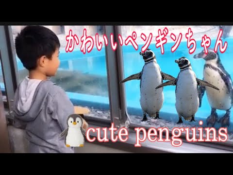 かわいいペンギンちゃんhappy kid