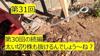 第30回の続編です。太い切り株は抜けるのか？の疑問にお答えします