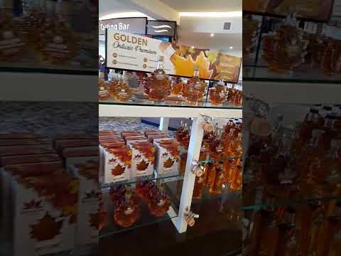 maple syrup factory#maplesyrup#mapletree#maplecandy#travel#trending#maplestory