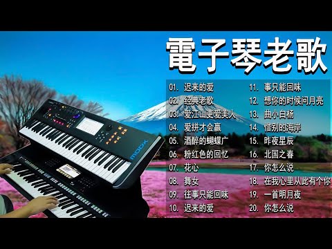 电子琴经典老歌 - 电子琴100首好听歌曲 || 迟来的爱 / 爱拼才会赢 / 阿里山的姑娘 / 迟来的爱 / 渴望 / || 每天調心洗滌心性 Relaxing Chinese Music