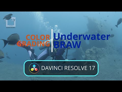 Black Magic Cinema 6k / daVinci Resolve 17  - Grading underwater BRaw. 1 - Prepare the best footage