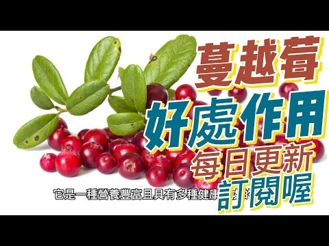 EP165 蔓越莓（Cranberries）好處和作用：改善消化功能 維護口腔健康 預防尿道感染 健