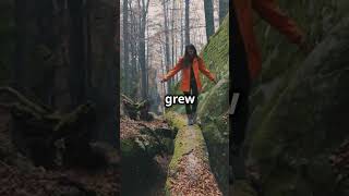 The Forest  Would you like to listen? #hauntedforest #creepystory #thriller #shortfilm