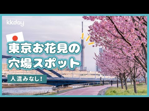 【国内旅行】人混みが苦手な方必見！東京の穴場お花見スポット10選