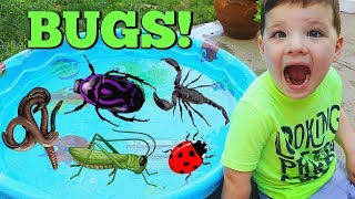 Learn Names of Bugs with Insect Toys For Kids! Learn Colors with Bugs and Caleb & Mommy