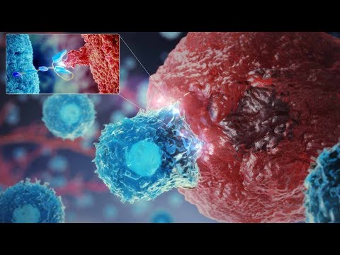 Oncology Cell Therapy: engineering innovative CAR-T cells