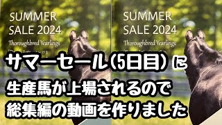 サマーセール5日目(8月23日)におちび・くろすけ・マロンが上場されます！！【総集編・可愛い満載動画】