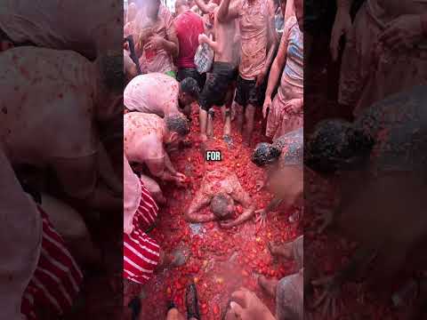 Spain Has The Worlds Largest Food Fight (La Tomatina)