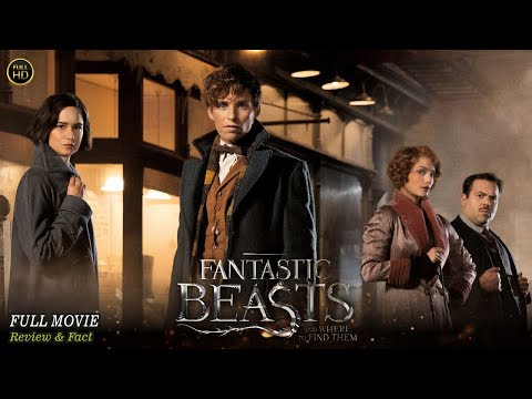 Fantastic Beasts And Where To Find Them Full Movie In English | Hollywood Movie | Review & Facts