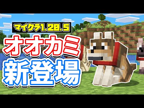 【マイクラ1.20.5】オオカミに8種類の新種が新登場！スポーン場所・見た目・仕様など詳しく解説！【マインクラフト】SNAPSHOT 24W10A