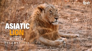 Asiatic lion - हिन्दी डॉक्यूमेंट्री | Wildlife documentary in Hindi