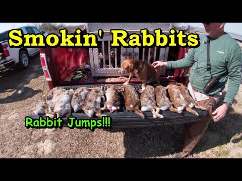 Rabbit Hunting with Great Dogs  2024