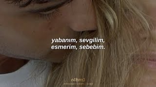 hande yener – bir kış masalı (şarkı sözleri)