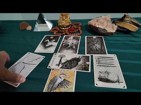 Scorpio 🦂♏ End of October 2024 Tarot Update