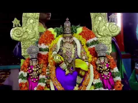 Thiruvallikeni Sri Parthasarathy Perumal Kovil - Sri Ranganathar Theppothsavam_2023-02-24_32m 54s