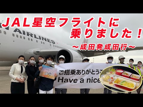 成田空港発✈︎成田空港行　JAL星空フライト搭乗レビュー！チャーターフライトに乗ってみた！【飛行機レビュー】