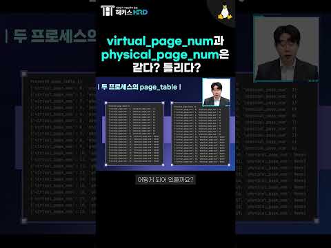 [리눅스] 리눅스 페이지 테이블 비교해보기! (Linux Virtual page VS Physical page)