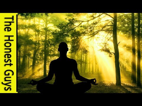 Guided Mindfulness Meditation: In a Windy Forest (Without Music) (Sleep-Friendly Fade)