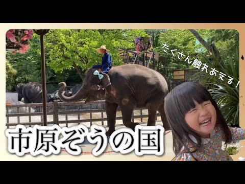 市原ぞうの国に行ってきた！動物とたくさんふれあえる場所！