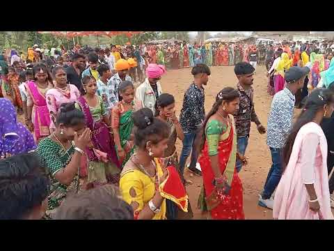 New Gujarati Timli Song Dance 2024 // New Gujarati Timli Dance 2024 // #timli #dancetimli #dance