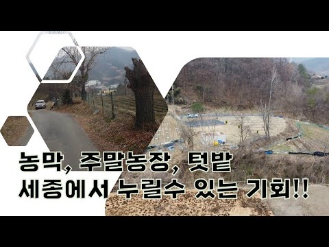 세종시에서 누릴수 있는 농막하우스, 주말농장, 텃밭용 땅 - 계획관리 410평