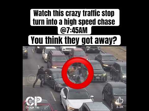 Watch this traffic stop turn into a high speed chase