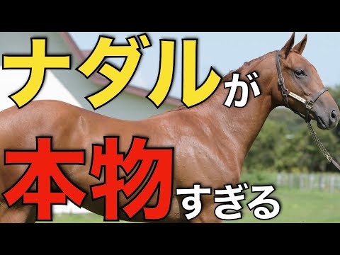 新種牡馬ナダルがあまりにも圧倒的！ついにリーディングでトップに躍り出る。