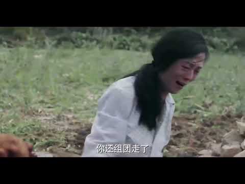 《三个孬家伙》