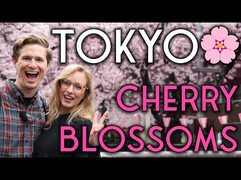 Sakura Season in JAPAN! 🌸🍃 (Our first Hanami in Tokyo)