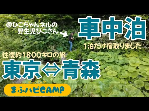 【車中泊】東京から青森まで往復1800キロの道の駅車中泊＋お得宿泊　初心者でも泊まりやすい道の駅やコスパな温泉グルメが盛り沢山🤓