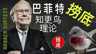 金融危机2024之预知未来的知更鸟巴菲特理论，金融风暴，金融海啸预警，价值股票投资Warren buffett