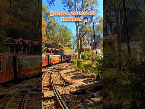 Kalka-shimla toytrain.............#shorts #short #viralvideo #sonamthakur #travel #toytrain