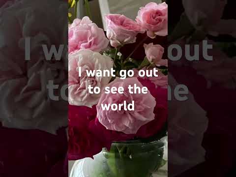 I want go out to see the world. #iwantgoouttoseetheworld