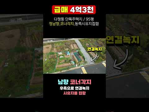 (급매) 세종시 4억대 단독주택지 매매 다정동 택지 정남향 코너각지 95평 4억3천