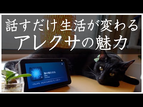 アレクサ 暮らしの役に立つ機能 ベスト5 | Echo Show 5 Alexa搭載