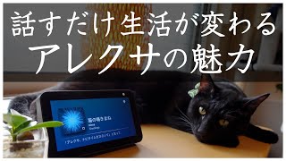 アレクサ 暮らしの役に立つ機能 ベスト5 | Echo Show 5 Alexa搭載