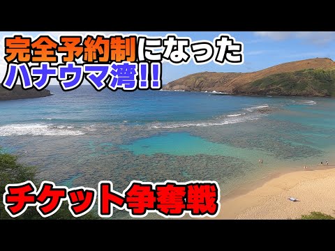 【完全予約制】ハナウマ湾チケット争奪戦！！全然予約の取れない幻のビーチに！！の回