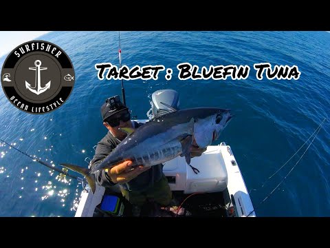 Target : Bluefin Tuna