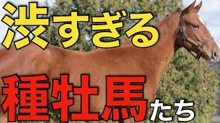 面白すぎるラインナップ！サマーセールに揃った渋い種牡馬たち。