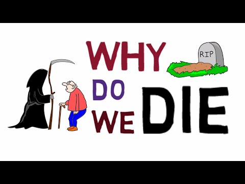 Why do we die