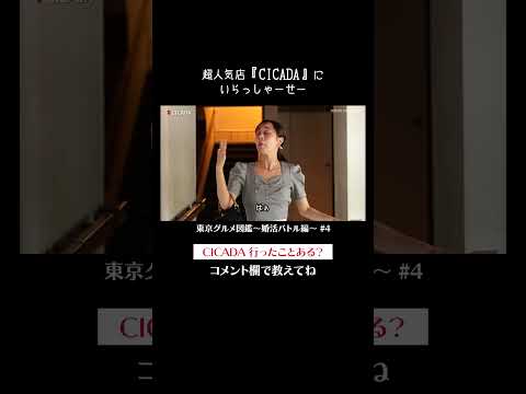 超人気店『CICADA』にいらっしゃーせー #佐藤ミケーラ倭子 #東京グルメ図鑑