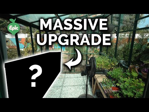 Giving My Greenhouse The Upgrade It Deserves