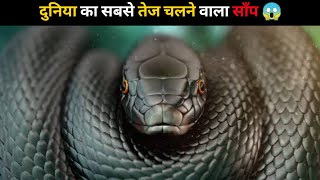 दुनिया का सबसे तेज चलने वाला साँप 😱 | #shorts #newfactsvideohindi #snakevideo