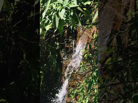 Chandradrona Hills, Chikmagalur.