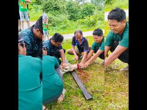 sambutan maulidurrasul 2023 di tunjung