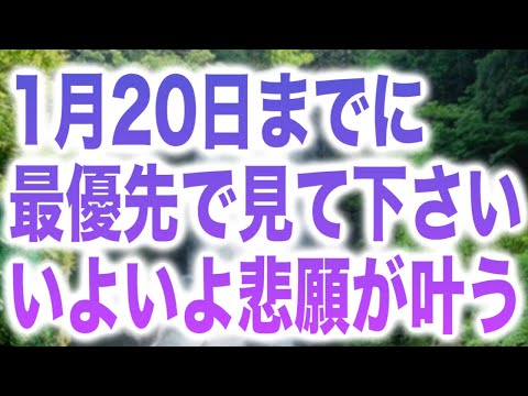 「1月20日までに最優先で見て下さい。いよいよ悲願が叶う」という、某国就任の日に向けた様なメッセージと共に降ろされたヒーリング周波数です(a0397)