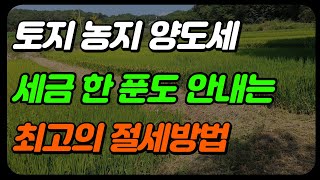 토지 양도세 최고의 절세방법(농지, 비사업용 토지)