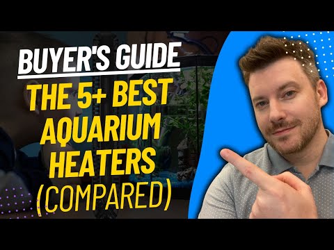 TOP 5 Best Aquarium Heaters - Best Aquarium Heater Review (2024)