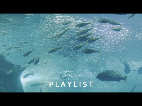 ［Playlist] Quiet Time at the Aquarium